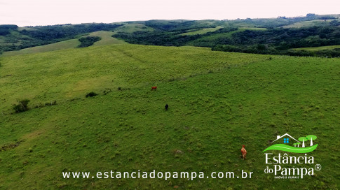 INICIO INICIO.00_00_55_28.Quadro007_1356cc7789b4d31780163ccf73bdd140492531c1.jpg